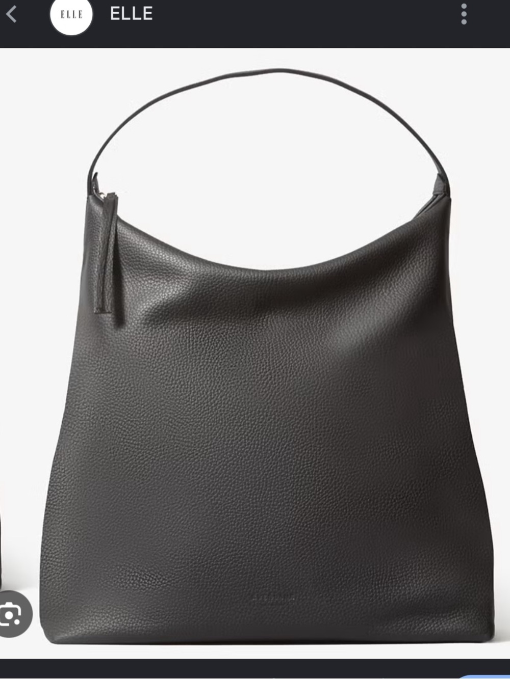 Everlane Boss Bag
